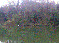 PEG 59 Pictures